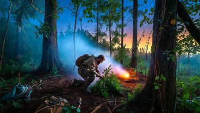 5 بهترین ترفند در طبیعت جدید (و 5 ترفند زنده ماندن در طبیعت)